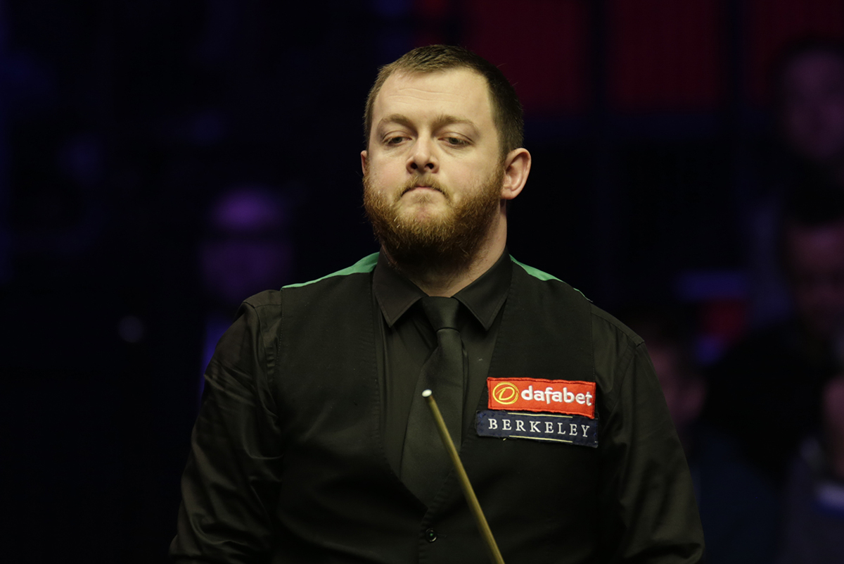 观赏性的动 观赏性的动